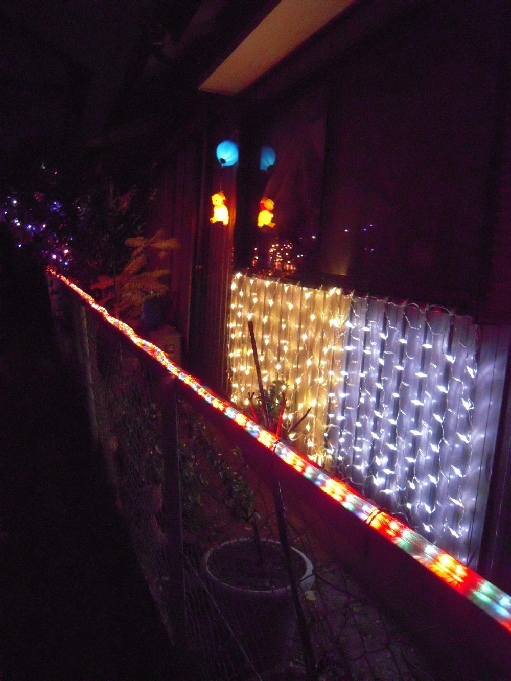 祖父江銀杏 040.jpg